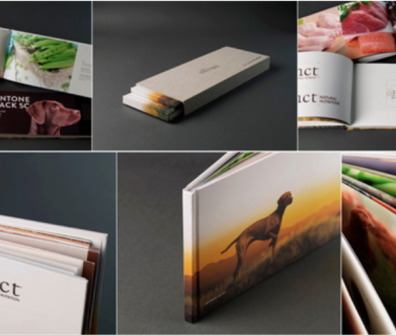 En busca del brand book perfecto: inspiración y ejemplos
