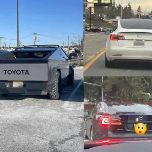 Coches Tesla con logotipos alternativos