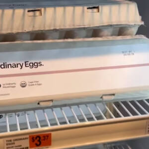 Huevos de la marca Ordinary en una estantería de supermercado