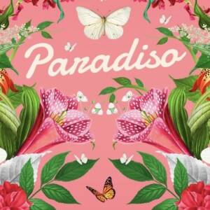 Cartel del Paradiso Fest 2025 Festival de creatividad en Mérida, Mexico