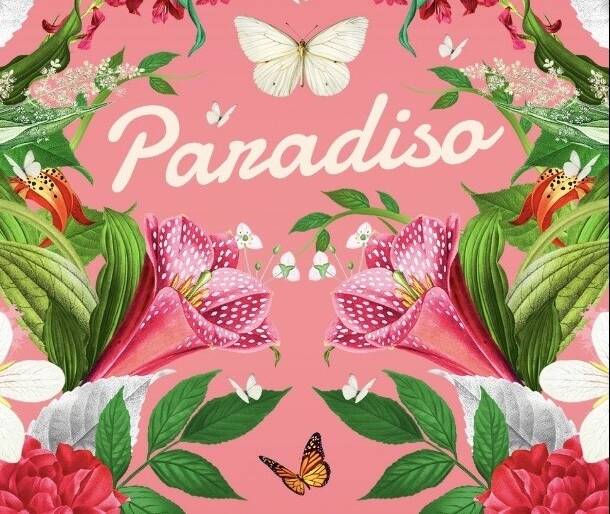 Cartel del Paradiso Fest 2025 Festival de creatividad en Mérida, Mexico