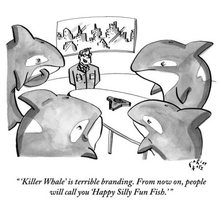 farley-katz-killer-whale-is-terrible-branding-from-now-on-people-will-call-you-new-yorker-cartoon-1