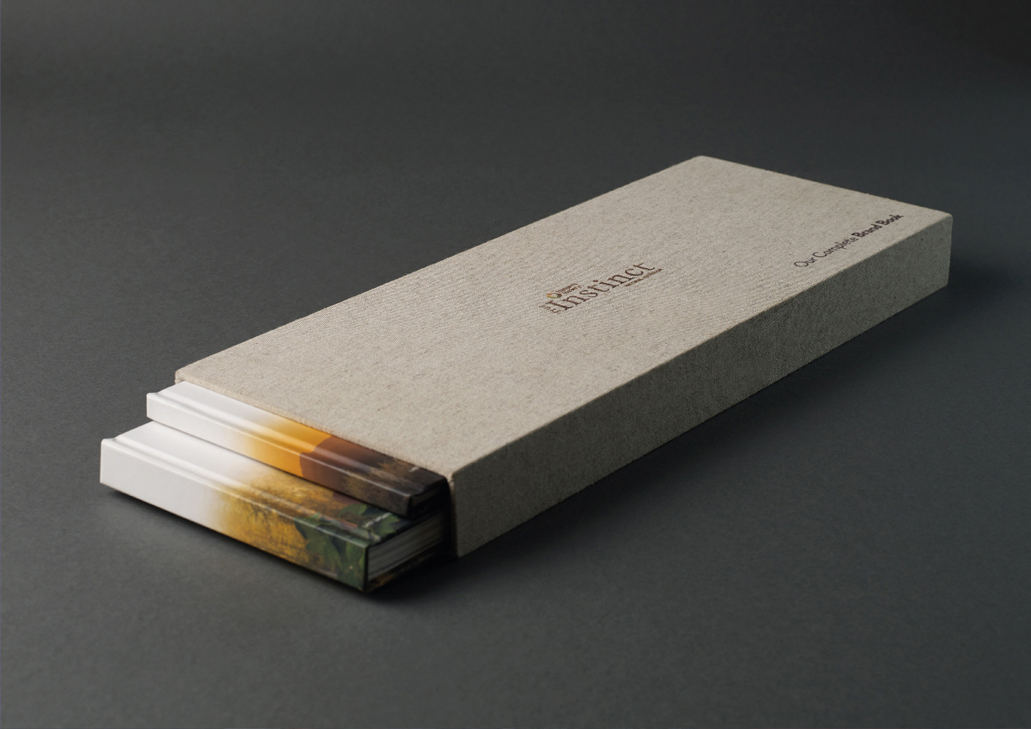 Brand Book Instinct