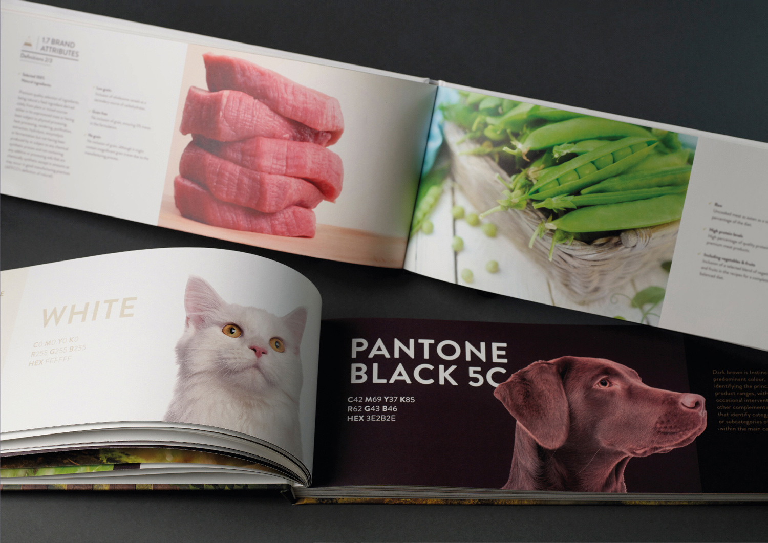 Brand Book Instinct 2 Brand Book Instinct
