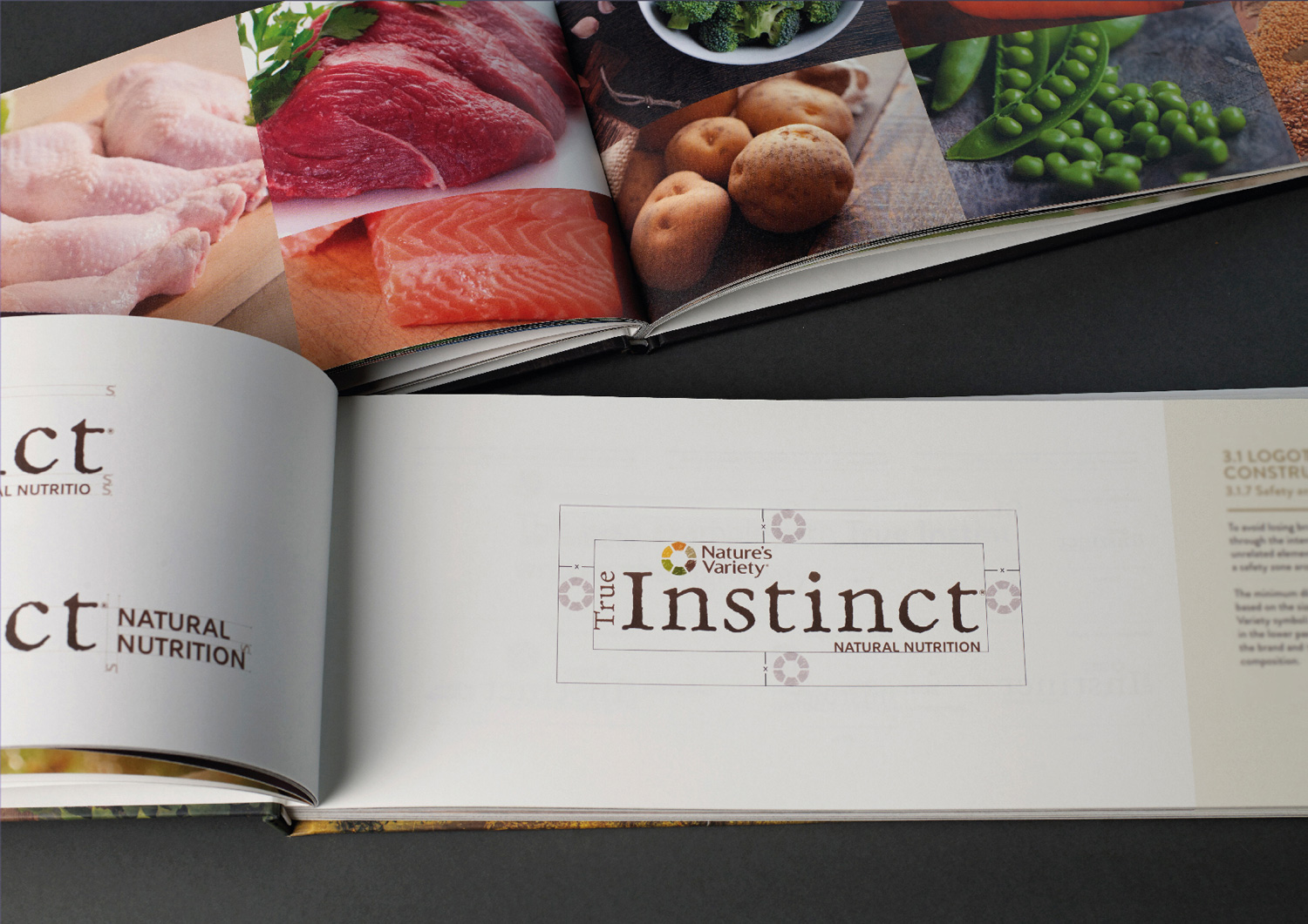 Brand book Instinct - Construcción del logotipo Brand book Instinct - Construcción del logotipo