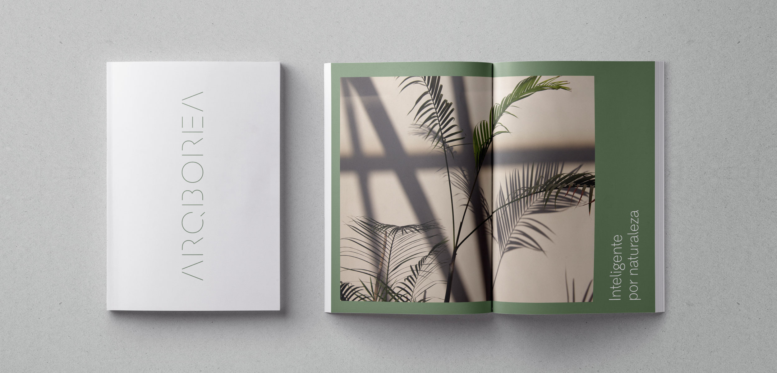 11_brochure1